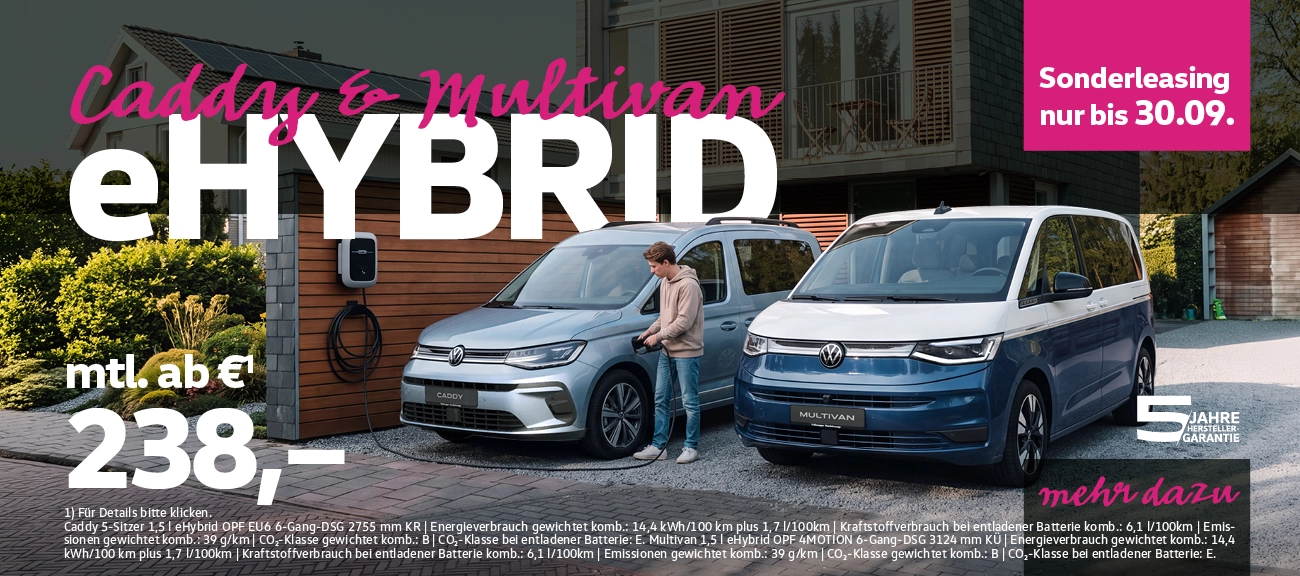 Caddy + Multivan eHybrid